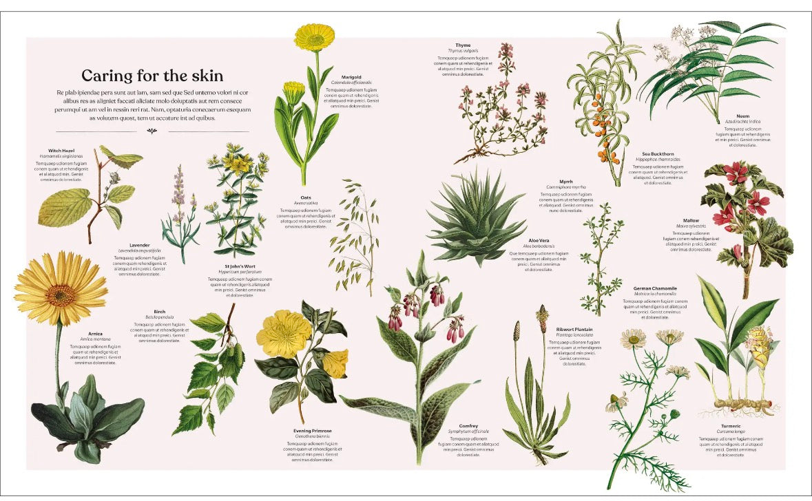 The Herb Book