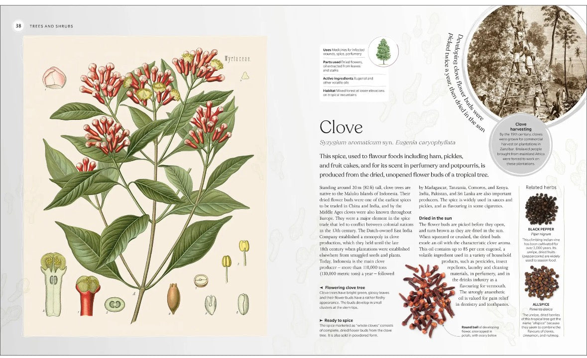 The Herb Book